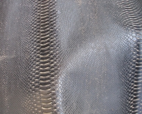 P8170296 [Desktop Resolution].JPG